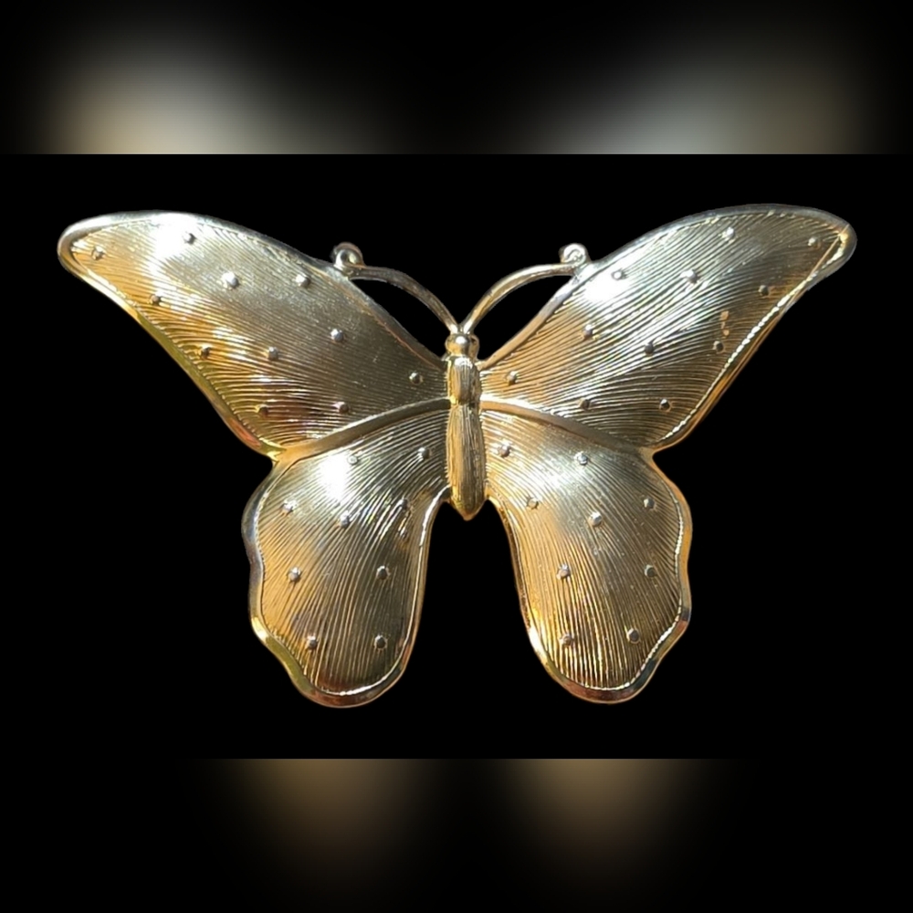 Elegant Gold and Silver Butterfly Brooch
